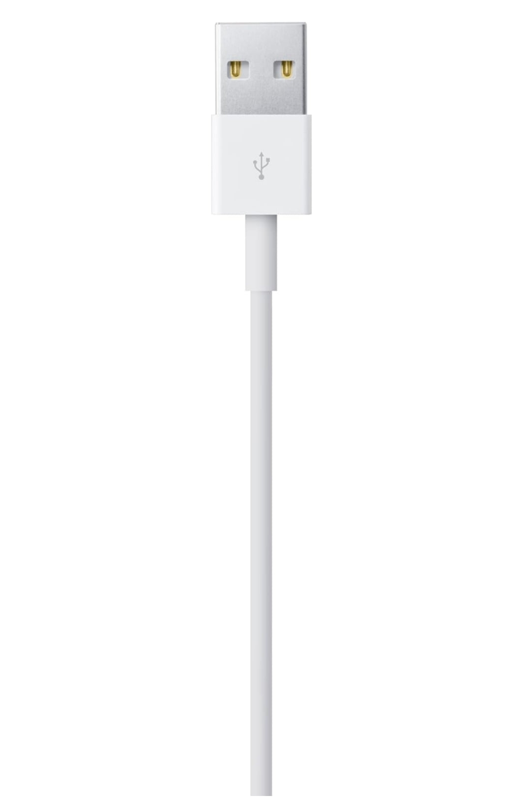 Apple Lightning to USB Cable (1m)