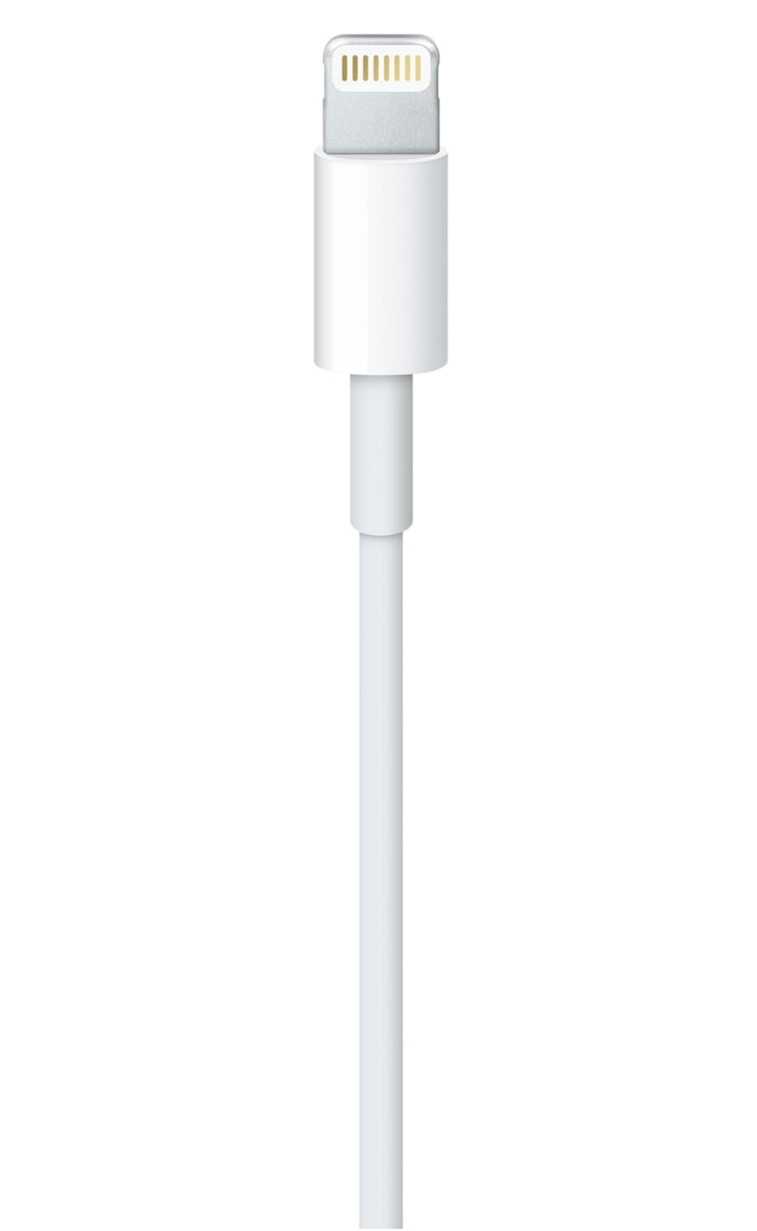 Apple Lightning to USB Cable (1m)