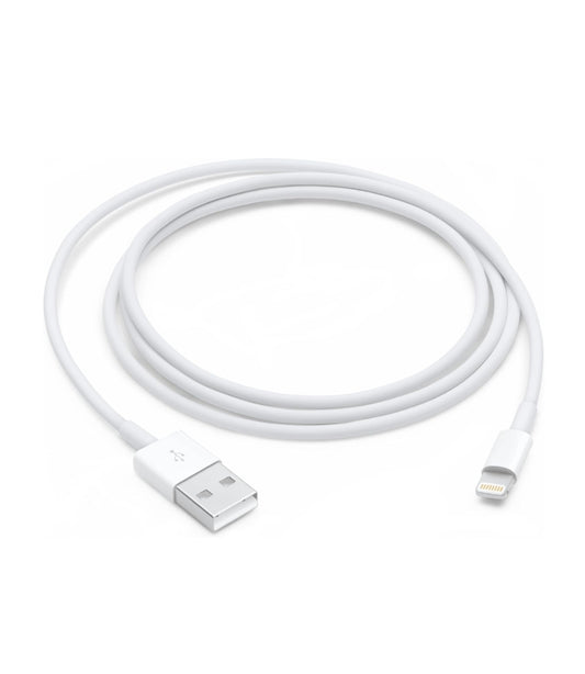 Apple Lightning to USB Cable (1m)